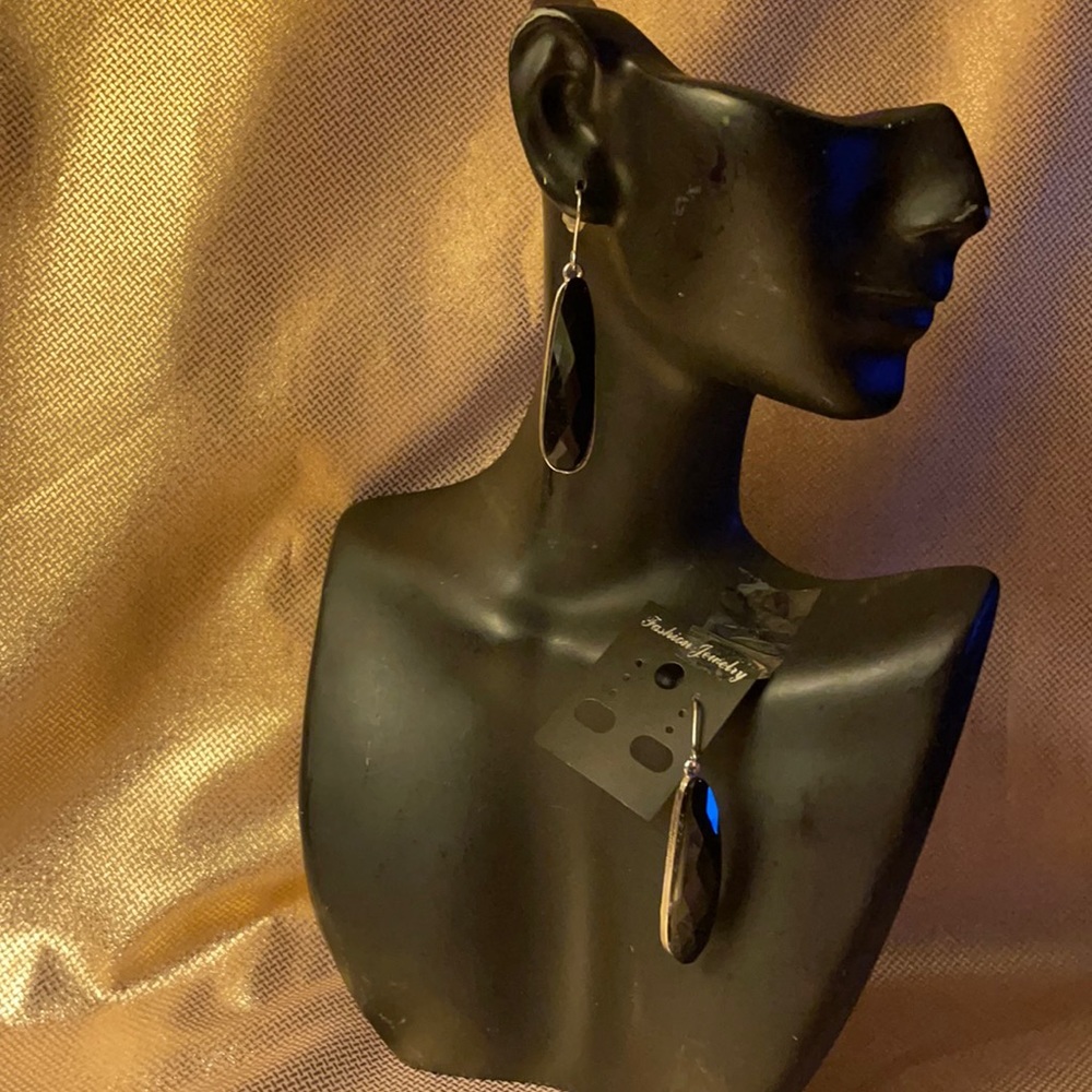 Silver colored elongated with black jewel dangle earrings with fish hooks
